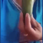 Cocumber Sextape